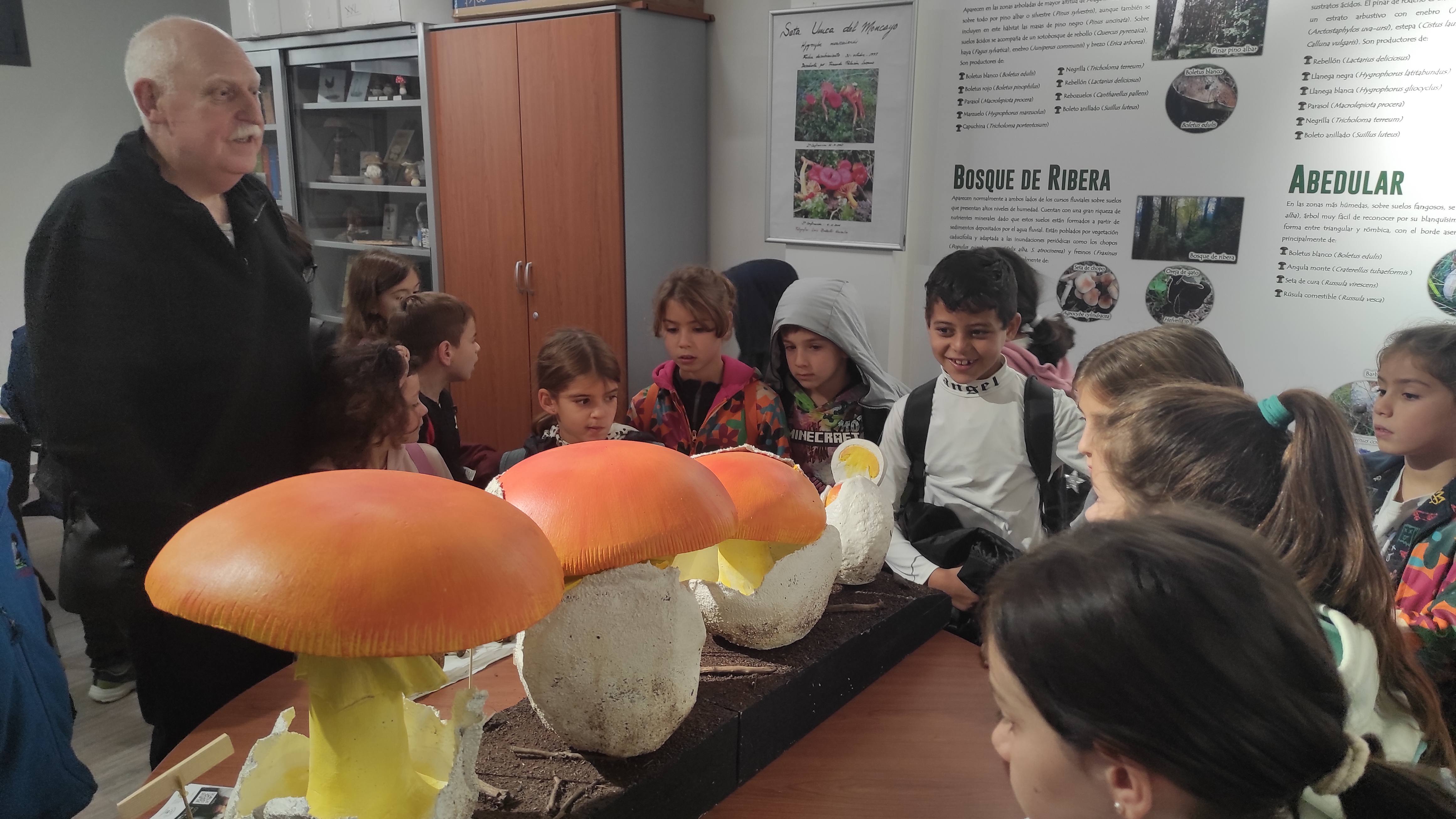 Copia de IMG_20251030_102937.jpg